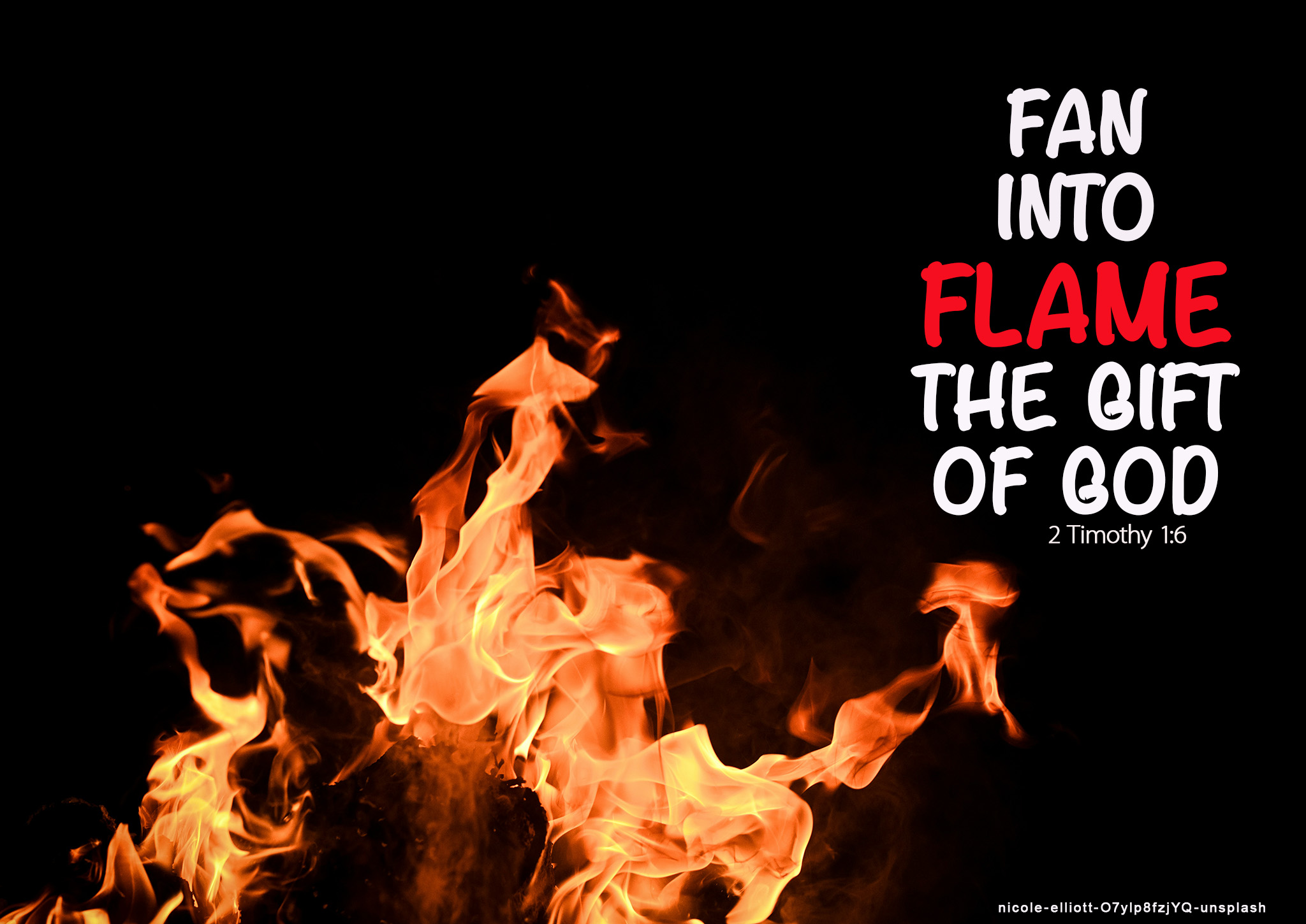 flamenicole-elliott-O7ylp8fzjYQ-unsplash